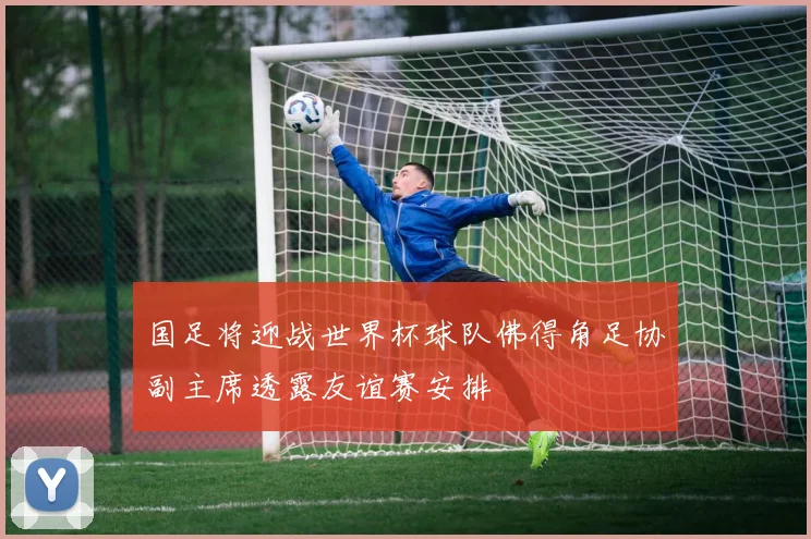 国足将迎战世界杯球队佛得角足协副主席透露友谊赛安排